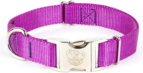 Country Brook Petz - Premium Nylon Dog Collar with Metal Buckle for Small Medium Large Breeds - 30+ Colors (Small, 3/4 Inch, Bright Purple)
