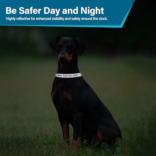 Reflective Personalized Dog Collar - Custom Embroidered Dog Collars with Pet Name and Phone Number for Boy and Girl Dogs, 4 Adjustable Sizes, XSmall,Small, Medium and Large (Metal Buckle)