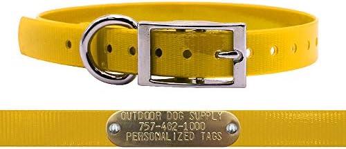 Light Weight D-Ring Dog Collar w Custom Name Tag, SCH Bus Yellow