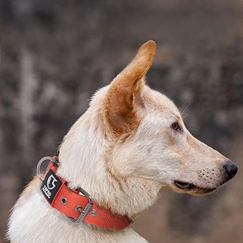 TSPRO Heavy Duty Thick Dog Collar with Metal Buckle for Large Dogs
