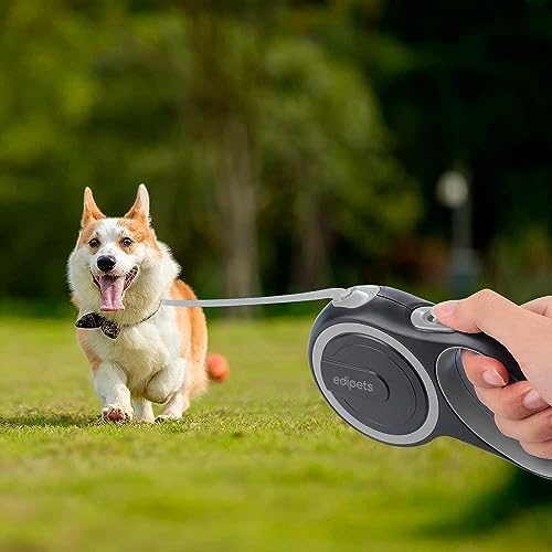 Retractable Extendable Dog Leash, 3, 5 and 8 Metres, Flexible Tape for Training and Walking, with Lock and Brake, Design and Comfortable Grip (5 Metres Over 20 kg, Grey)