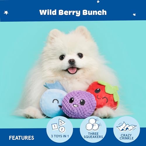 BarkBox Wild Berry Bunch 3-in-1 Interactive Plush Dog Toy