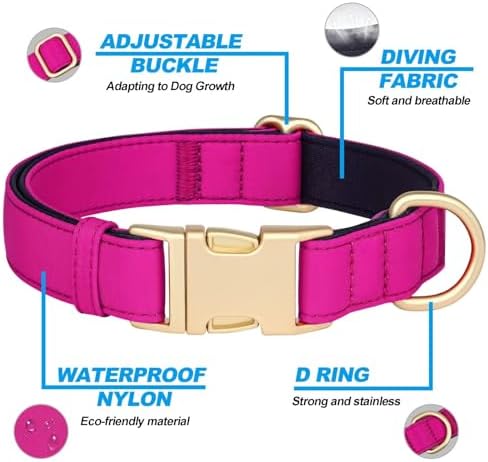 Didog Soft Padded Dog Collar for Medium Dogs, Rose Purple, M Neck 14-18"