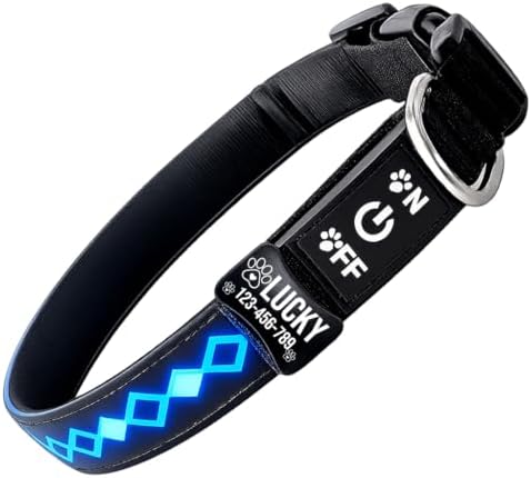 Personalized Flashing Dog Collar with Laser Engraved ID Tag