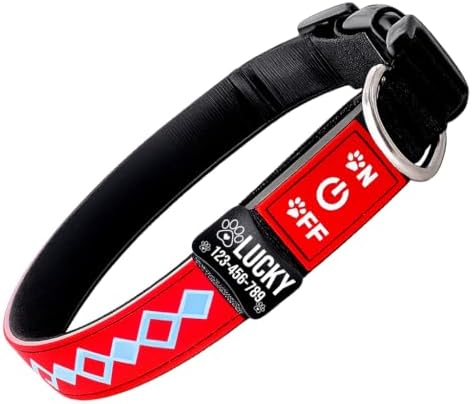 Personalized Flashing Dog Collar with Laser Engraved ID Tag