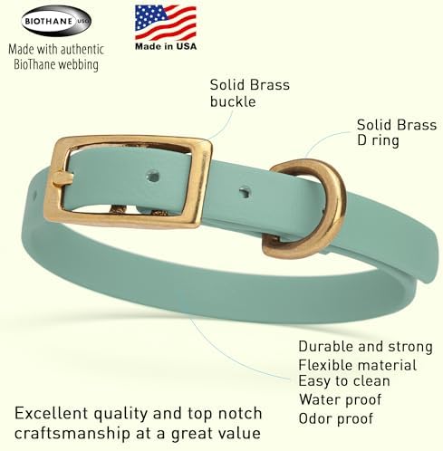 Viper Biothane Heavy Duty Waterproof Dog Collar Strong Coated Nylon Webbing w/Solid Brass Hardware Odor-Proof Easy to Clean High Performance Fits Small Medium or Large Dogs, Sage Green