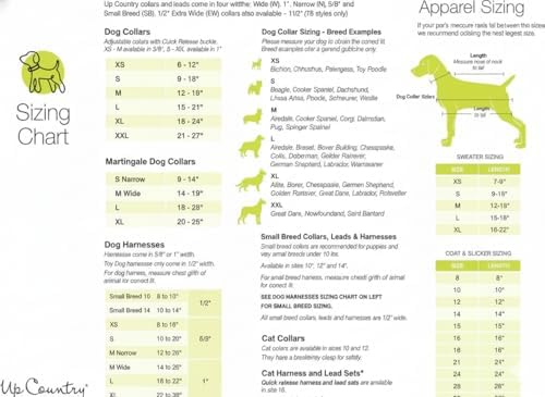 Up Country Daisy Pattern (Daisy Dog Collar, X-Large (18 to 24 inches) 1 inch Wide Width)