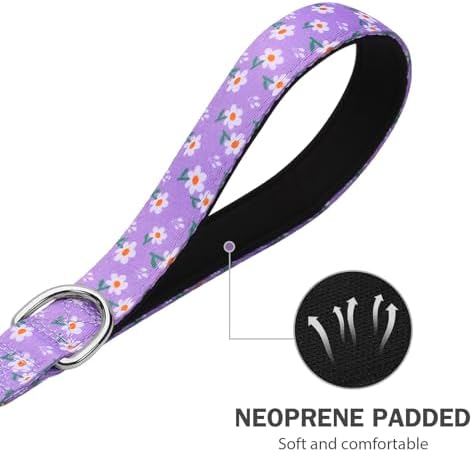 Hikiko 5FT Dog Leash Padded Double Handle with Designed Pattern
