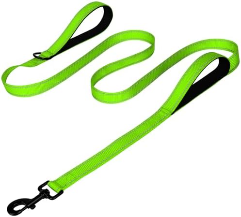 Joytale Dog Leash for Large Dogs that Pull, Double Handle, 5FT, Green