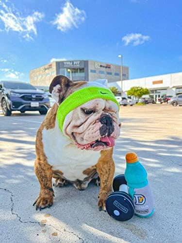 Nestpark Doggy Dumbbell - Funny Dog Toys Fitness Workout Parody Cute Dog Toys (Dumbbell)