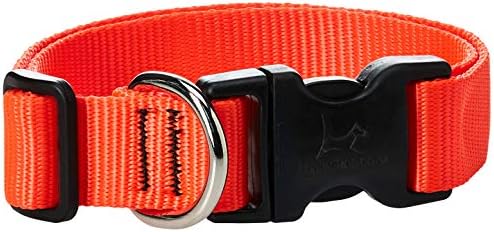 LupinePet Basics 1" Blaze Orange 12-20" Adjustable Collar for Medium and Larger Dogs
