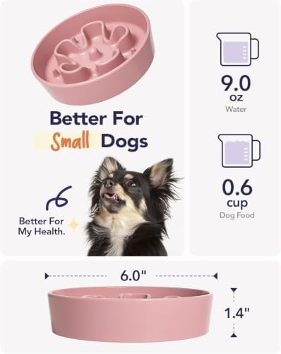LE TAUCI Ceramic Slow Feeder Dog Bowls Small Breed, 0.6 Cups Dog Food Dish for Fast Eaters, Puzzle Bowl for Small Dogs and Cats,Pink+Green
