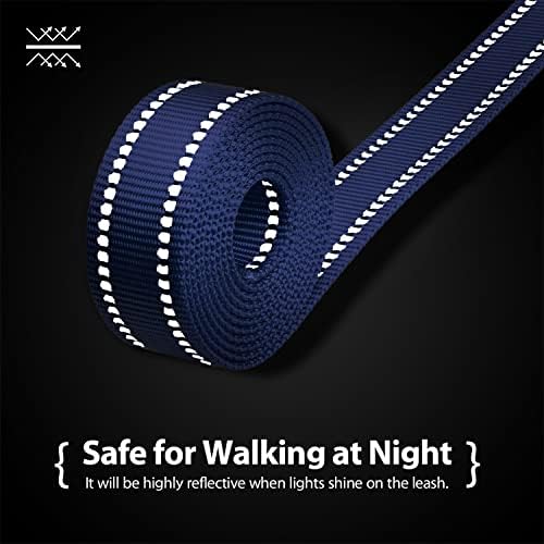 PHOEPET 5 Feet Dog Leash - Dual-Side Reflective - Soft Padded Handle