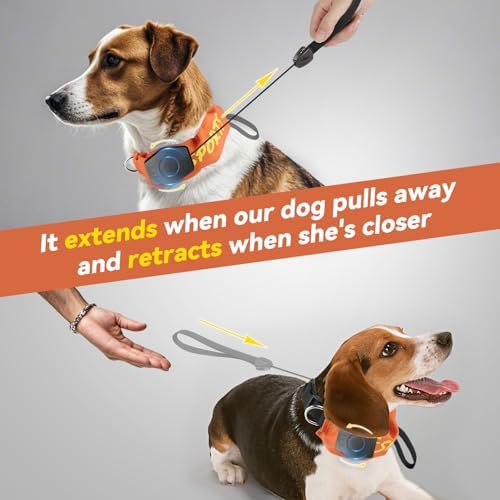 2 in 1 Dog Collar with Retractable Dogs Leash, Adjustable Dog Collar for Medium to Large Dogs