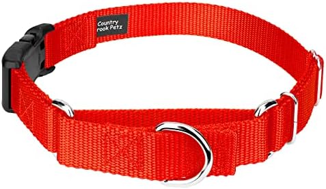 Martingale Dog Collar - Heavy Duty Nylon Adjustable Martingale Dog Collar with Plastic Buckle for Small Medium Large Breeds - 30+ Colors (3/4 Inch, Small, Hot Orange)
