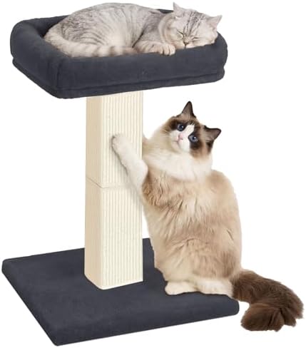 Cat Scratching Post with Plush Perch for Indoor Cats, 32 Inch