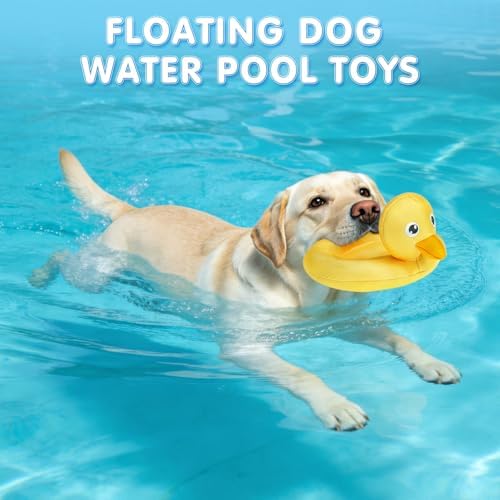 SCENEREAL Floating Dog Pool Toys for Water Fetch, 2 Pack Ducks & Turtles Squeaky Dog Toys for Training, Interactive Summer Outdoor, Cute Pet Chew Toys for Large Medium Small Dogs