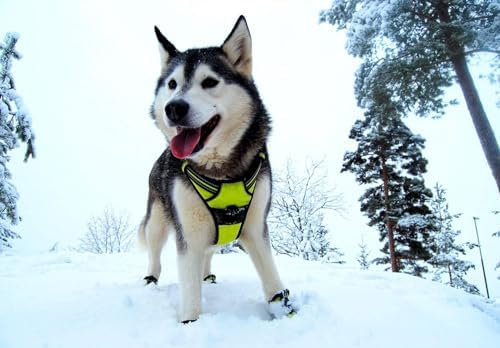 TRUE LOVE Adjustable No-Pull Dog Harness Reflective Vest, Neon Yellow, S