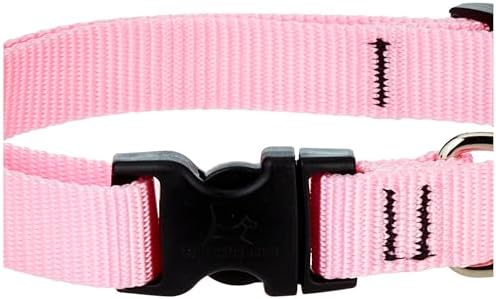 LupinePet Basics 3/4" Pink 9-14" Adjustable Collar for Small Dogs