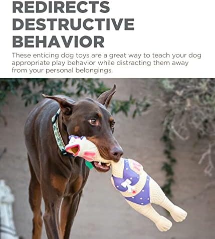 Outward Hound by Charming Pet Squawkers Henrietta Latex Squeaky Rubber Chicken Dog Toy, Funny Interactive Holiday Toy for Dogs, Small Size