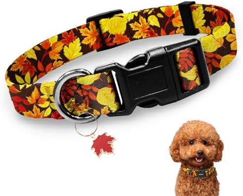 Kazazoo Dog Collar Cute and Soft Nylon Puppy Collar for Boy and Girl Dogs, Adjustable Dog Collars for Small Dogs, Maple Leaf-S
