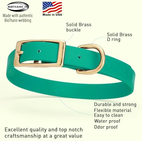 Viper Biothane Heavy Duty Waterproof Dog Collar Strong Coated Nylon Webbing w/Solid Brass Hardware Odor-Proof Easy to Clean High Performance Fits Small Medium or Large Dogs, Teal