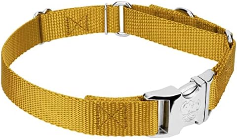 Country Brook Petz - Martingale Dog Collar - Heavy Duty Nylon Adjustable Martingale Dog Collar with Metal Buckle for Small Medium Large Breeds - 30+ Color Options (3/4 Inch, Small, Gold)
