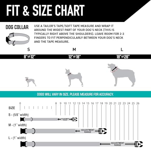Wolfgang Venture Dog Collar Buenaonda M