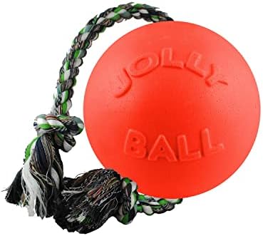 Jolly Pets Romp-N-Roll Rope & Ball Dog Toy, 4.5 in Small, Orange