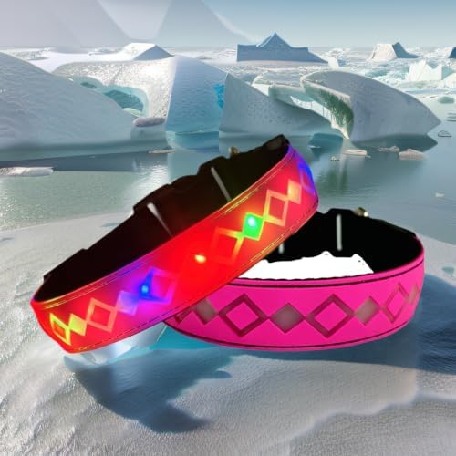 Personalized Flashing Dog Collar with Laser Engraved ID Tag