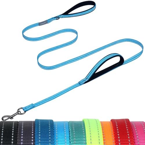VIVAGLORY Double Handle Dog Leash Twingrip, 5ft x 1/2in, Blue