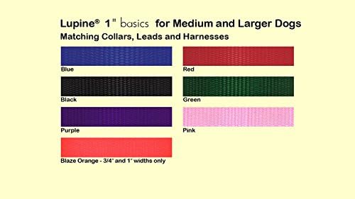LupinePet Basics 1" Green 25-31" Adjustable Collar for Extra Large Dogs