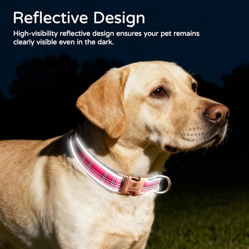 Reflective Plaid Dog Collar for Small Dogs, Rose Red-S