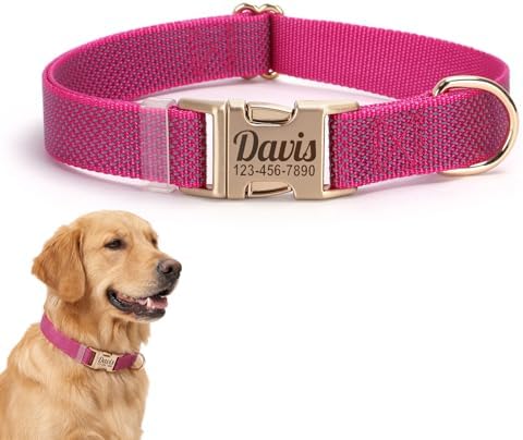 Custom Dog Collar with Name and Phone Number