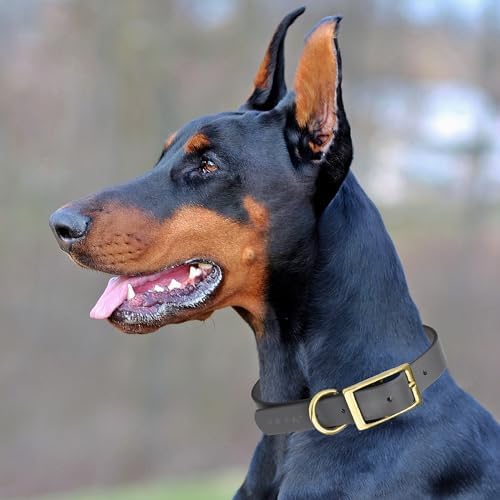 Viper Biothane Heavy Duty Waterproof Dog Collar Stro, Battleship Grayng Coated Nylon Webbing w/Solid Brass Hardware Odor-Proof Easy to Clean High Performance Fits Small Medium or Large Dogs