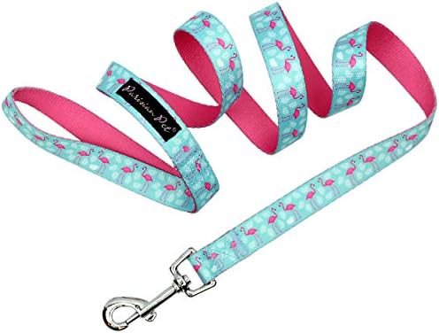 Parisian Pet Flamingo Dog Leash - Nylon Heavy Duty Training Leashes for Dogs with Comfortable Handle - Strong Metal Clip 4Ft Puppy Leash - Durable Chew Proof Leashes for Small and Medium Dogs Girl