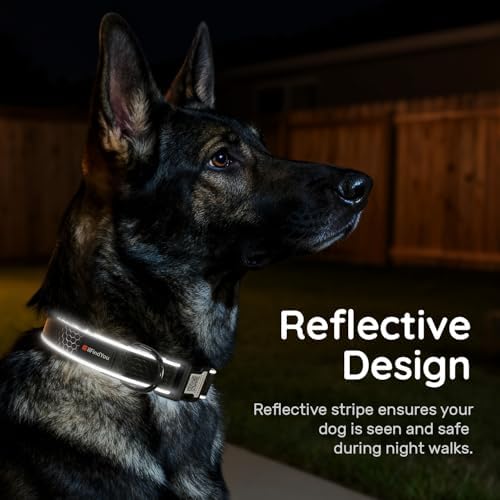 Personalized Dog Collar with QR Code Dog Tag, Oxford Black M