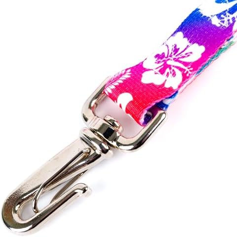 Country Brook Petz - Deluxe Hawaiian Rainbow Dog Leash - Summer Breeze Collection Featuring Sunny Designs (6 Foot, 5/8 Inch Wide)