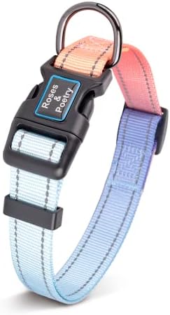 Roses&Poetry Reflective Small Dog Collar and Leash Set, Puppy Leashes with Collars, Adjustable Durable Matching Nylon Pet Collar Leash for Walking,Playing,Training (Azure-XS)