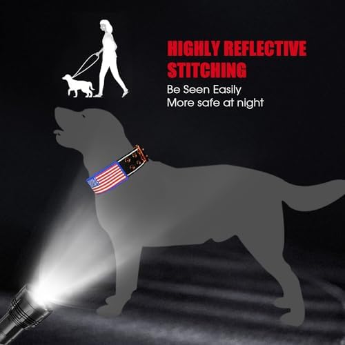 Heavy Duty Dog Collar for Medium Large Dogs,Black,Medium