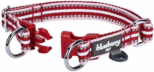 Blueberry Pet Safety Dog Collar with Dual D-Rings | 3M Reflective Multi-Colored Adjustable Collar in Marsala Red and Pink | Soft Nylon Dog Collar for Active Small Dogs