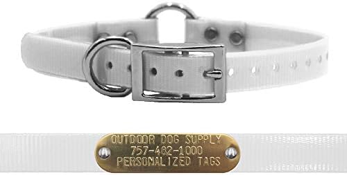 Light Weight D & Center Ring Dog Collar w Custom Name Tag, White