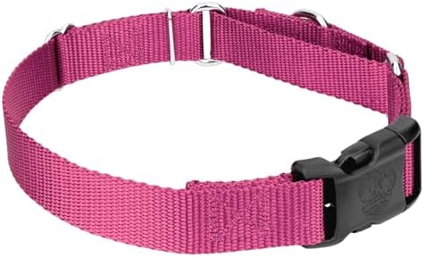 Martingale Dog Collar - Heavy Duty Nylon Adjustable Martingale Dog Collar with Plastic Buckle for Small Medium Large Breeds - 30+ Colors (1 Inch, Large, Rose)