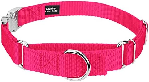 Country Brook Petz - Martingale Dog Collar - Heavy Duty Nylon Adjustable Martingale Dog Collar with Metal Buckle for Small Medium Large Breeds 30+ Color Options (1 Inch, Extra Large, Hot Pink)