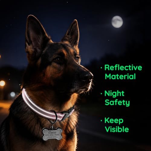 Personalized Dog Collar and Dog Tag Set,Comfortable for Small Medium Dogs