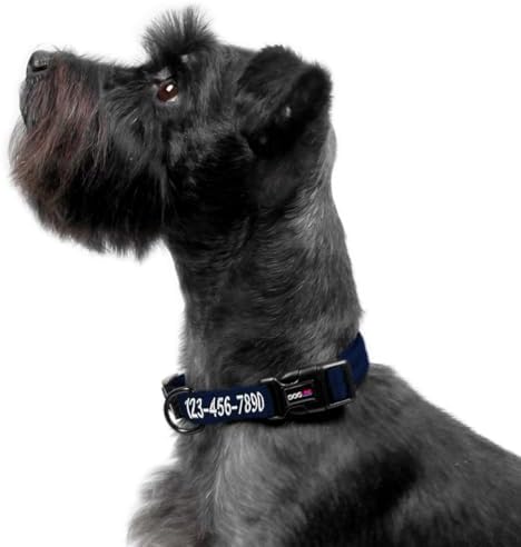 Dogline Navy Blue Customizable Personalized Nylon Collar (W: 3/8" L: 9"-13")