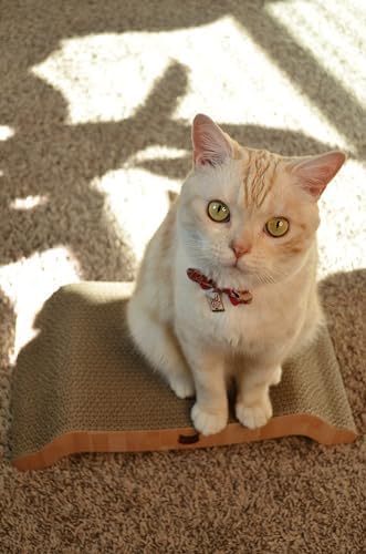 Necoichi Cardboard Cat Scratcher Couch for Indoor Cats - Cat Scratching Board, Horizontal Cat Scratch Pad Lounger with Reversible Usability and Extra Comfort for Lounge, Curved (17" Regular, Oak)