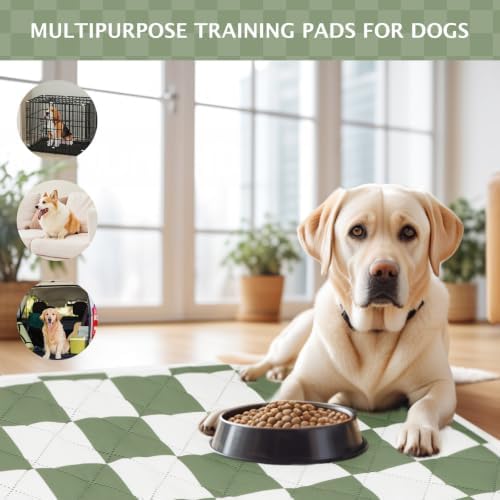 IEUUMLER Washable Pee Pads for Dogs, 2 Pack Non-Slip & Waterproof Pack Whelping Pad, Reusable Puppy Potty Training Pad with Fast Absorbent for Playpen EU007 (Green&White, 30"X20"-2pcs)