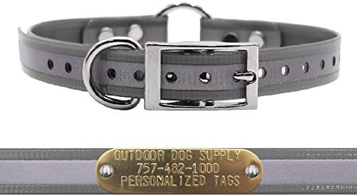 Reflective Waterproof D & Center Ring Dog Collar w Custom Name Tag, Silver