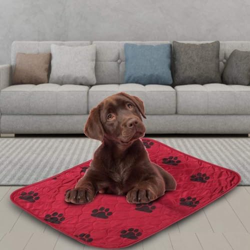 Cyrank Reusable Dog Pee Pads, Washable Pee Pads for Dogs Training Pads for Dogs Puppy Potty Training Pads Potty Pads for Puppies Dog Whelping Pads Dog Mat Pee Pad for Pig Mat, 40 * 60cm